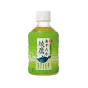 綾鷹 280ml×1ケース(24本入) コカ・コーラ