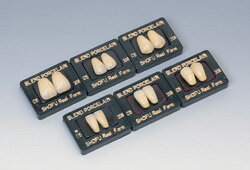 医療機器 ブレンド陶歯 上顎 尖型(T) 212 5 1組(6歯) 松風