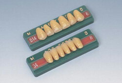 医療機器 エース前歯 方型424 上顎 3 1箱20組(120歯) 松風