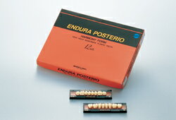 ŵ ǥ ݥƥꥪ() û S30  A2 1(8) 