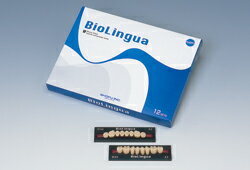 医療機器 バイオリンガ(臼歯) M30 上顎 B2 1箱12組(96歯) 松風