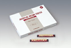 医療機器 レジン臼歯 短種 S32 上顎 B2 1箱16組(128歯) 松風