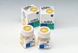 ラミナ ポーセレン LMA3 15g 松風