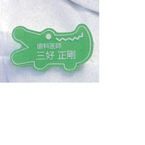 ネームプレート わに グリーン H35×W60mm 1個