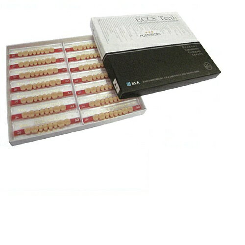 【医療機器】 人工歯 硬質レジン歯 エクスレジン臼歯 プレートタイプ M28 下顎 色調56 8歯×14プレート