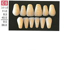 【医療機器】 人工歯 硬質レジン歯 プロテックス前歯 C5 上顎 色調A2 6歯入