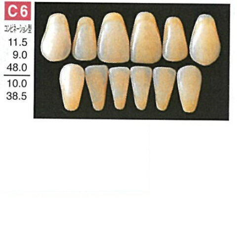 【医療機器】 人工歯 硬質レジン歯 プロテックス前歯 C6 上顎 色調A2 6歯入