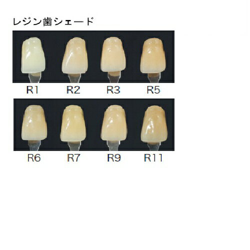 ウェアレスレジン臼歯 29L R3 8揃=1個 GC