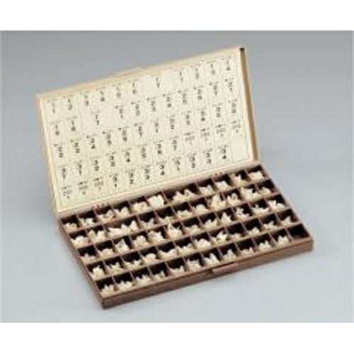 クラウンS 犬下左3 333 1函=6歯 GC