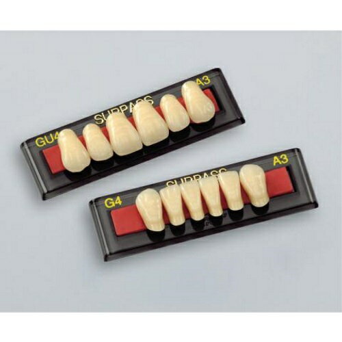 サーパス G 前歯 上顎 GUt4 B3 6揃=1個 GC サーパス G 前歯 上顎 GUt4 B3 6揃=1個 GC