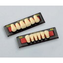 サーパス G 前歯 下顎 G5 A3 6揃=1個 GC(4)