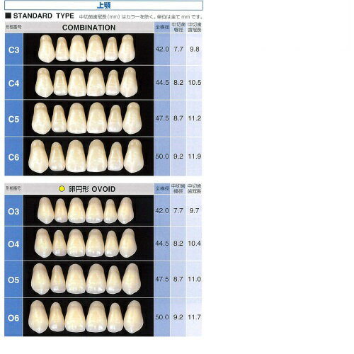 NO1元気爽快のサーパス前歯 上顎 O6 A3 6揃=1個 GC｜アングル2
