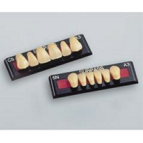 サーパス前歯 上顎 S6 A4 6揃=1個 GC