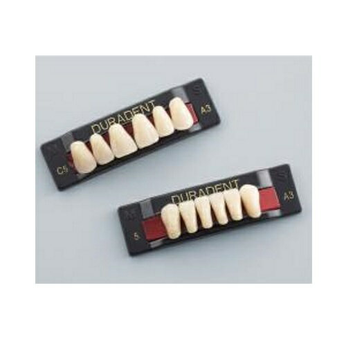 デュラデント 前歯 上顎 C3 B2 6揃=1個 GC