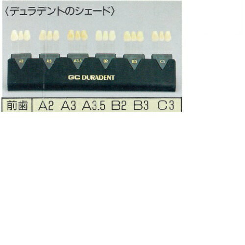 【120個セット】 DPダブルマイルド毛4列 ふつう