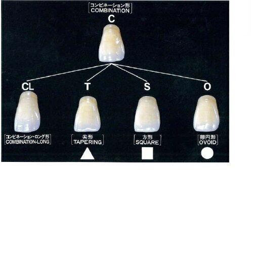 【2％OFFクーポン配布中 対象商品限定】【T】【定形外郵便で送料無料】マルマンH＆B株式会社 音波振動ブラシ プロソニック用 替えブラシ 極細毛 ( 2本入 ) ＜歯と歯茎の隙間も磨きやすい＞【TK140】