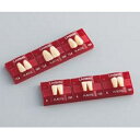 リブデント プラスチック 上顎 尖形VT5 102 6揃=1個 GC
