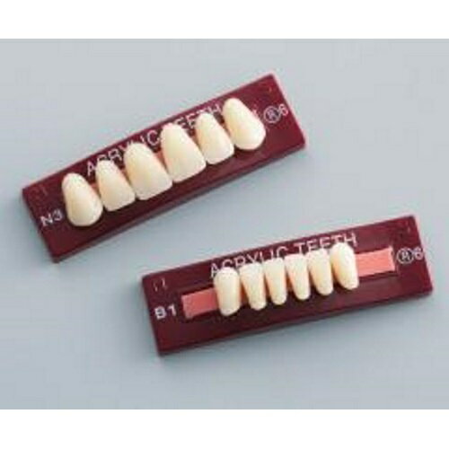 レジン歯 前歯 上顎 Y2 R2 6揃=1個 GC