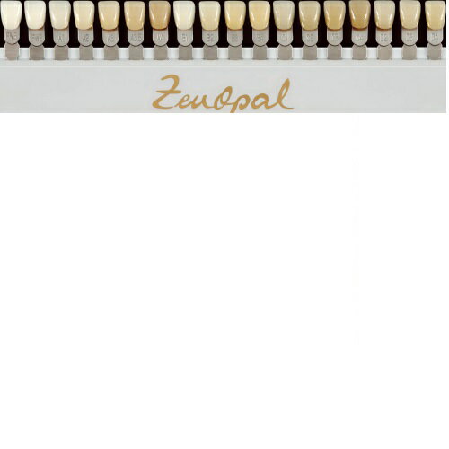 フクバデンタル キスユー フラットレギュラー ふつう 本体