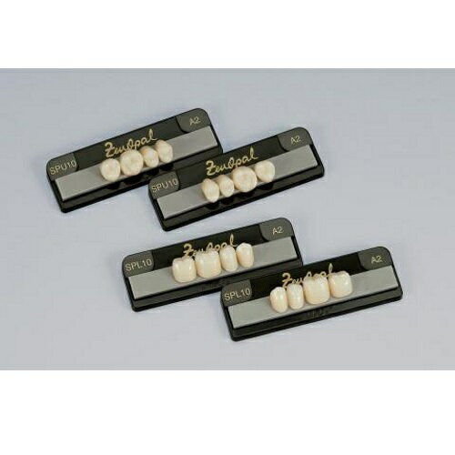 ゼンオパール臼歯 上顎 A4 PU07 8揃1個 GC