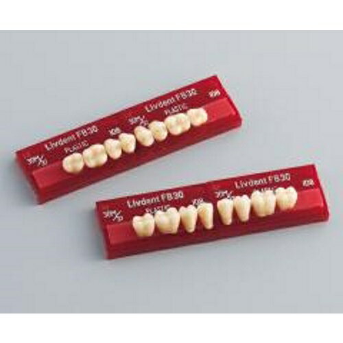 リブデント FB30 プラスチック100 上顎 104 32M 8揃1個 GC