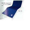 ラクラ3Dコイルベッドパッド 幅91×長さ193×厚さ4cm 3.6kg RK3D-BP-910R ボディドクターメディカルケア