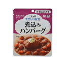 12袋セットまとめ買い ☆やさしい献立 Y1-8 煮込みハンバーグ 100g×1袋入 キューピー