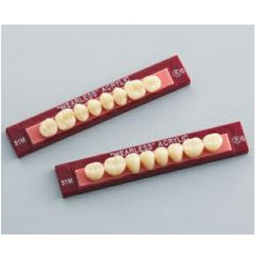 医療機器 抗摩耗性レジン臼歯 ウェアレスレジン臼歯 シンプルパック 下顎 29L R6 8揃6個板付1枚 GC