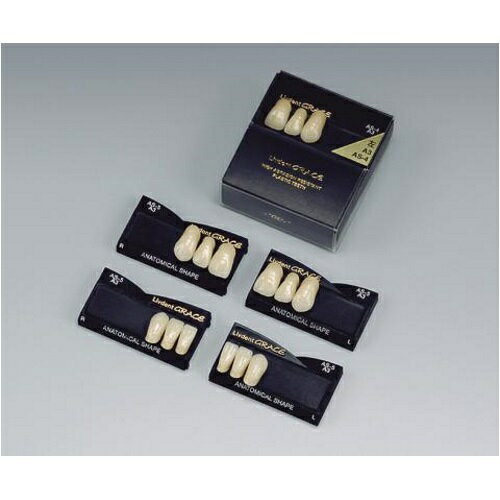 医療機器 リブデント グレース 前歯 左下顎 AS-5 A3 1函=中切歯~犬歯3揃1個(上下左右側別) GC