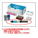 【管理医療機器】 エステセムII オートミックス ペースト 2.3mlX2 クリア トクヤマデンタル(4)