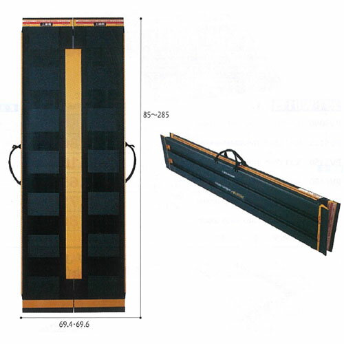 ダンスロープエアー2 長さ285×幅69.6×高さ2.7cm 05566 ダンロップホームプロダクツ