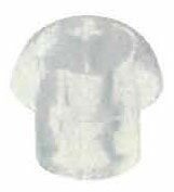 ミミセン LL ニコン・エシロール