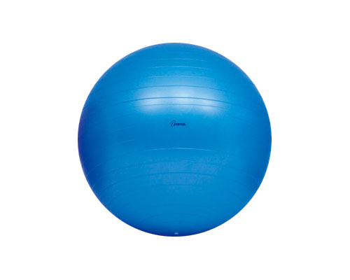 ボディーボール65 青 H-7262 トーエイライト