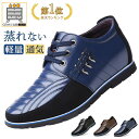 2025NEW【楽天1位入賞!!】ビジネスシューズ 本革 メンズ ドライビングシューズ 紳士靴 革靴 夏用 メッシュ カジュアル 穴付き アウトドア おしゃれ ...