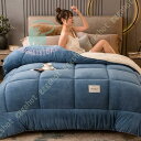 かけ布団 セミダブル 春夏秋冬使える 毛布 フリース 掛けふとん 掛け布団 加重毛布 ダブル 冬の掛け布団 シングル 厚手毛布 ウォッシャブル ブランケット