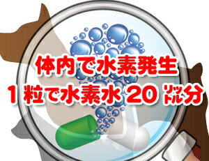 [水素サプリ] 話題のゼオライト(ケイ素含有)水素 SODが入ったペット用サプリメント (犬用)活性水素の発生データ証明あり“特許”ゼオライト還元 supplement『Pet水素』30粒入わんこ ねこ うさぎ にも！【ネコポス】【代引不可】