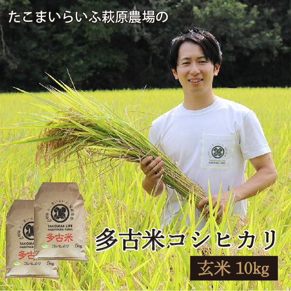 萩原さん家の多古米(玄米10kg）