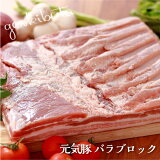 豚肉 ブロック 冷凍食品 お取り寄せ 元気豚 バラブロック 2kg以上（不定貫）