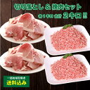 ＜メガ盛り！送料込み！＞元気豚 切り落とし&挽肉セット（バラ凍結） 合計2kg（各1kg／500g×2パック）【冷凍食品】【お取り寄せ】【大容量】豚肉　千葉県産　三元豚