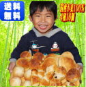 国産小麦ふくらむ魔法の冷凍パン 4種16個入りセット詰め合わせ 送料無料 代引不可 解凍・発酵不要で冷凍のまま約15分で焼くだけ バターボールプレーン4個入1...