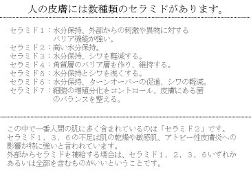 アハヴィー化粧品 マイムトヴィーム 美容液 天然セラミド95％ 乾燥肌 敏感肌 無添加 無香料 合成着色料不使用 オイルフリー アルコールフリー 石油系界面活性剤不使用 30ml キャッシュレス ポイント 還元 キャッシュレス 消費者還元