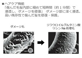 肌・毛髪用高機能補修化粧品エルコスペリセール60ml(スポイト付)