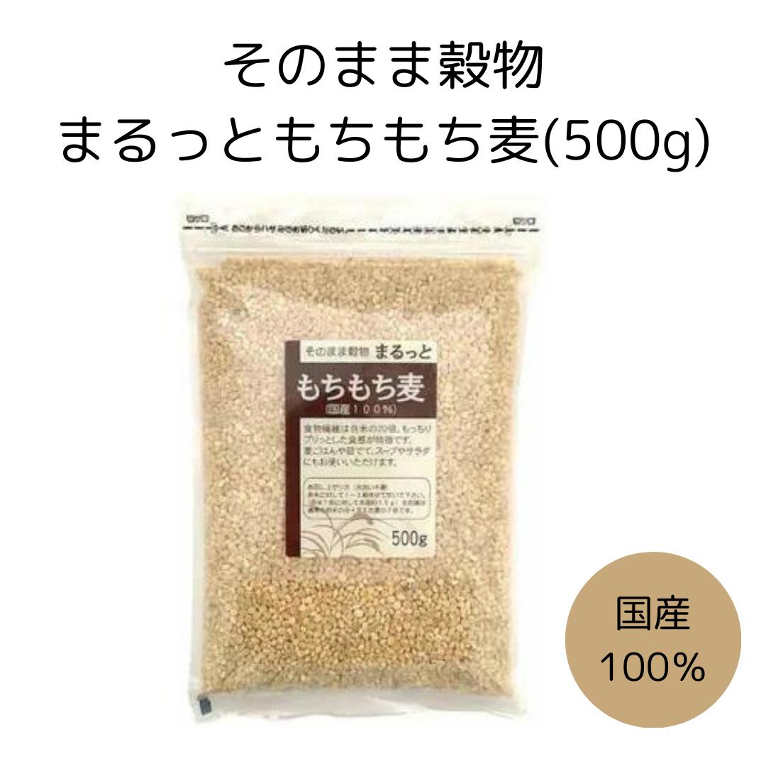 ᡼ءڤޤäȤ 500g 1ޡۥ饤  ʪ ʪ 100%