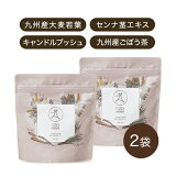 ̵ ᡼ءO2G natural 90g2 60ʬ ܤ òǥȥ ɥ֥å   Ĳ եꥹ ̤ ʪȯڥ