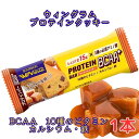 メール便【プロテインバー キャラメルクッキー 1本】ブルボン BCAA+ カルシウム 鉄 10種のビタミン たんぱく質 3種の必須アミノ酸 バリン ロイシン イソロイシン