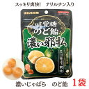 お買い物マラソン 期間中店舗ポイント2倍 メール便【味覚糖のど飴 濃い邪払 62g×1袋】UHA味覚糖 ナリルチン じゃばら 和歌山県北山村産じゃばら果汁使用