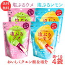 メール便【ワンプッシュゼリー4袋セット 塩ぷるレモン 塩ぷるウメ(1袋:6本入り)】井村屋 沖縄の海塩 ぬちまーす シチリア産レモン果汁 クエン酸 食べ切りサイズ 個包装 塩分補給 熱中症対策 国産ウメ果汁