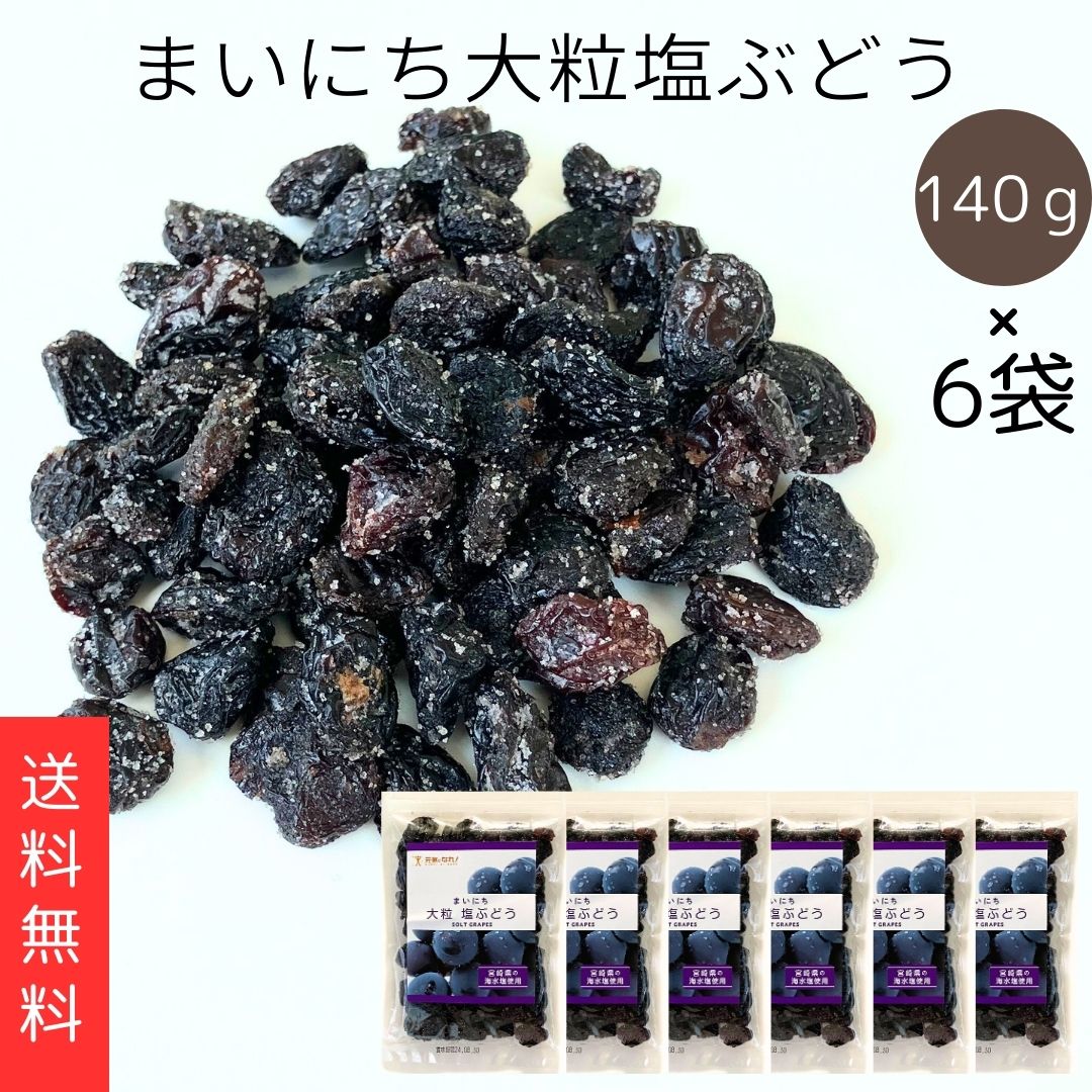 送料無料 メール便【まいにち大粒塩ぶどう 140g 6袋】コロンブスかわの レーズン 塩ぶどう 大粒 宮崎県産海水塩使用 ジャンボレーズン