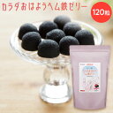 送料無料 【カラダおはようヘム鉄