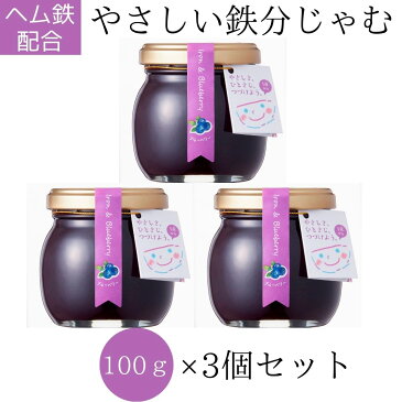 送料無料【やさしい鉄分じゃむ (ブルーベリー) 100g×3個（300g)】健康食品 栄養補助食品 栄養機能食品 サプリ ヘム鉄 鉄分 葉酸 ビタミンB12 ビタミンD ブルーベリージャム ジャム 貧血 鉄分補給 女性 妊活 妊婦 ママ 1歳